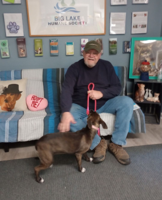 Illustration de l'article : Délaissé par des maîtres immatures, cet adorable chiot de 6 mois a été abandonné pour une raison consternante (vidéo)