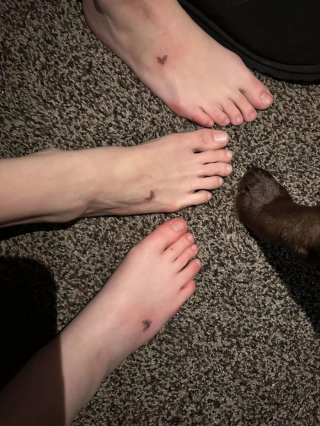 Illustration de l'article : Souhaitant garder un souvenir indélébile, une maman et ses filles rendent un hommage émouvant à leur chienne tant aimée