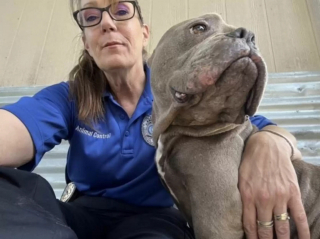 Illustration de l'article : Reconnaissant d’avoir été secouru après son abandon, ce chien affectueux partage un émouvant câlin avec l’une de ses bienfaitrices