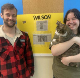 Illustration de l'article : Retrouvé avec des blessures sur plusieurs zones du corps, un chat fait preuve d’une combativité hors normes pour s’en sortir