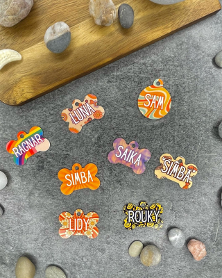 Illustration de l'article : Des médailles personnalisables pour chiens innovantes, alliant style et sécurité, à 10 euros signées Oria & Guizmo