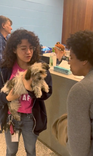 Illustration de l'article : Un chiot survit miraculeusement &agrave; un voyage d&rsquo;une cinquantaine de kilom&egrave;tres coinc&eacute; sous le capot d&rsquo;une voiture (vid&eacute;o)