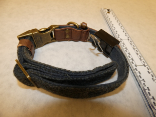 Illustration de l'article : Cheddar, le chiot Golden Retriever qui a survécu à la maltraitance et trouvé un nouveau foyer