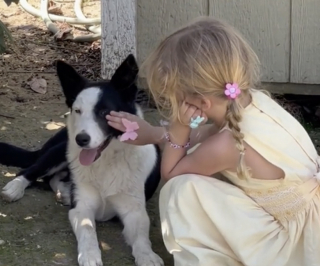 Illustration de l'article : Apeurée et prostrée, une chienne surmonte son anxiété grâce à une petite fille tombée sous son charme (vidéo)