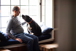 Illustration de l'article : La patience de King, un chien de refuge, est enfin r&eacute;compens&eacute;e apr&egrave;s une attente de plus de 500 jours (vid&eacute;o)
