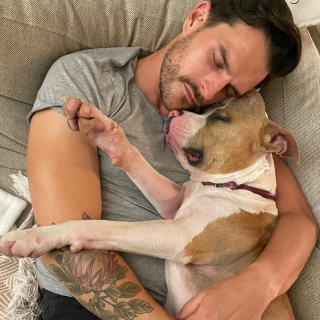 Illustration de l'article : La belle revanche d&rsquo;une &laquo; chienne licorne &raquo; condamn&eacute;e &agrave; cause de son excroissance sur la t&ecirc;te