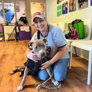 Illustration de l'article : Une femme au grand cœur passe la porte du refuge et l’espoir renaît pour une chienne ayant passé la majorité de sa vie au chenil