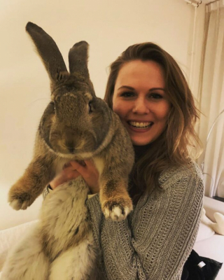 Illustration de l'article : Ce lapin géant au comportement de chien sait se faire comprendre auprès de sa maîtresse et apprécie particulièrement les nouvelles rencontres