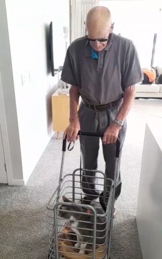 Illustration de l'article : Le tendre rendez-vous quotidien que ces 2 nonagénaires et leur chat ne manqueraient pour rien au monde (vidéo)