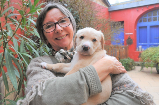 Illustration de l'article : Alertée par des cris, une femme découvre un tout jeune chiot avec son cordon ombilical abandonné sur le trottoir