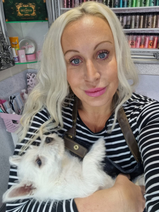 Illustration de l'article : Grâce à la générosité de donateurs, une chienne retrouve sa mobilité et sa joie de vivre