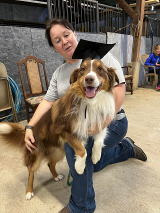 Illustration de l'article : Après une vie d’errance, un chien montre sa loyauté en sauvant la mère de sa nouvelle maîtresse