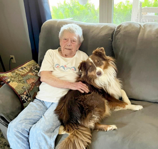 Illustration de l'article : Après une vie d’errance, un chien montre sa loyauté en sauvant la mère de sa nouvelle maîtresse