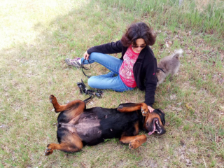 Illustration de l'article : Lors d’un cours d’éducation canine, une femme rencontre une chienne à l’histoire bouleversante et œuvre pour son bonheur