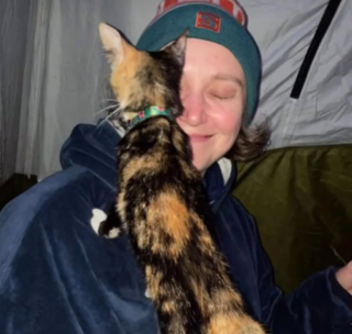 Illustration de l'article : Perdu en pleine montagne, un chat est secouru par des marcheurs ayant à cœur de l’accompagner vers une nouvelle vie