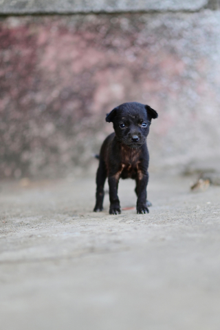Illustration de l'article : Le r&eacute;cit poignant d&rsquo;un &eacute;leveur transform&eacute; &agrave; vie par la bont&eacute; d&rsquo;un petit gar&ccedil;on