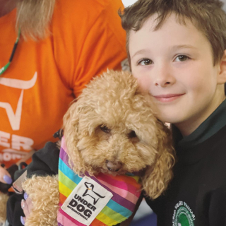 Illustration de l'article : La belle revanche d&rsquo;Henry sur la vie, chien paralys&eacute; autrefois destin&eacute; &agrave; l&rsquo;euthanasie