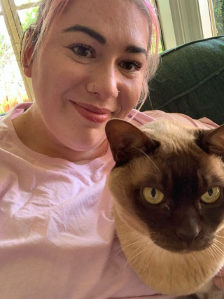 Illustration de l'article : Trouvant une masse suspecte dans l’organisme d’un chat, des vétérinaires réalisent leur erreur en approfondissant leurs examens