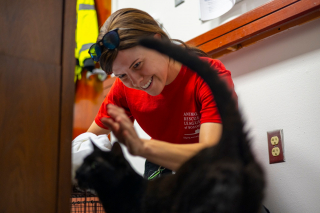 Illustration de l'article : Une chatte disparaît d’un avion et se retrouve coincée dans un autre pays pendant 3 semaines