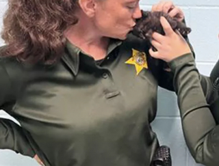 Illustration de l'article : Âgée de quelques semaines seulement, cette chatte s’est mise dans une situation difficile et a appelé à l’aide