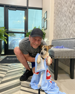 Illustration de l'article : La vision déchirante d’un chien refusant de quitter le carton dans lequel il a été abandonné