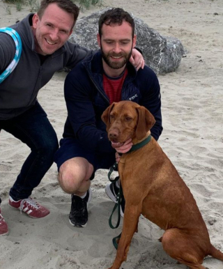 Illustration de l'article : Après la tentative de vol de sa chienne lors d’une promenade, un propriétaire appelle à la vigilance