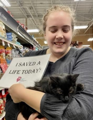 Illustration de l'article : La transformation de Brooke, une jeune chatte noire errante défiant les stéréotypes