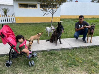 Illustration de l'article : Le combat de Coco, un pauvre chien extr&ecirc;mement n&eacute;glig&eacute; continuant de se battre pour la vie