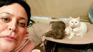 Illustration de l'article : En proie à un manque financier et à la maladie, cette femme se sacrifie quotidiennement pour ses 6 chats 