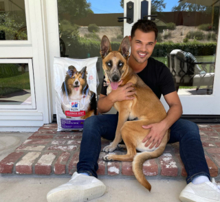 Illustration de l'article : Cet acteur bien connu des cinéphiles partage avec sa communauté le récit touchant de l’adoption de sa chienne (vidéo)