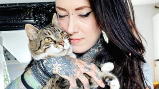 Illustration de l'article : Après une disparition de plus de 11 ans, un chat refait surface en étant remarqué par des promeneurs dans un parc