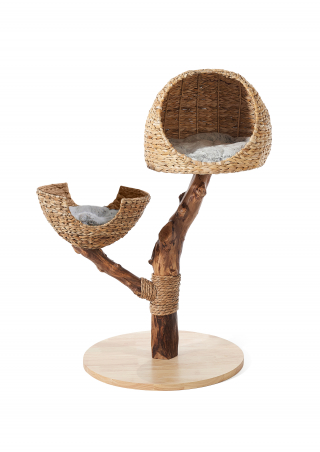 Illustration de l'article : Prendre soin de son animal &agrave; l&rsquo;arriv&eacute;e du printemps : les conseils &agrave; adopter pour son bien-&ecirc;tre