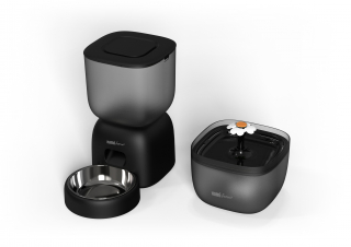 Illustration de l'article : Prendre soin de son animal &agrave; l&rsquo;arriv&eacute;e du printemps : les conseils &agrave; adopter pour son bien-&ecirc;tre