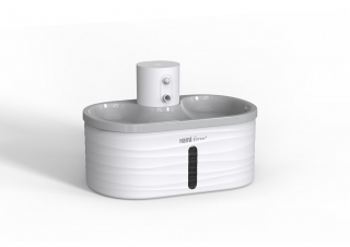 Illustration de l'article : Prendre soin de son animal &agrave; l&rsquo;arriv&eacute;e du printemps : les conseils &agrave; adopter pour son bien-&ecirc;tre