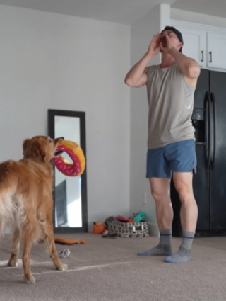 Illustration de l'article : Prétendant qu’il ne voit plus sa chienne dans la pièce, cet homme collecte des images hilarantes de sa Golden Retriever (vidéo)