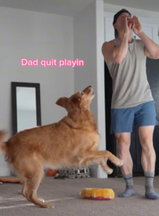 Illustration de l'article : Prétendant qu’il ne voit plus sa chienne dans la pièce, cet homme collecte des images hilarantes de sa Golden Retriever (vidéo)