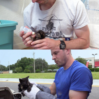 Illustration de l'article : Ces 2 chattes ne se connaissent pas, mais elles se ressemblent en tout point et agissent comme des s&oelig;urs (vid&eacute;o)