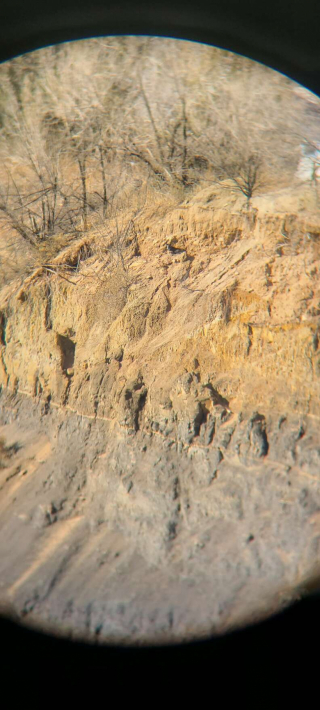 Illustration de l'article : Se fiant à son pressentiment, un homme aiguille des sauveteurs vers un chien perdu en haut d’une falaise