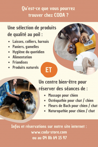 Illustration de l'article : Coda, un lieu de bien-être au concept unique pour les animaux de compagnie