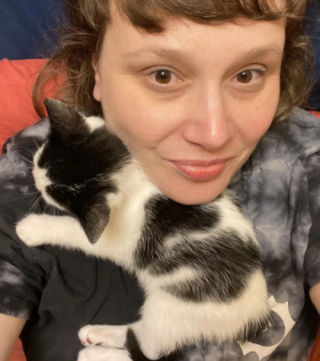 Illustration de l'article : Caché dans un garage, un jeune chat dévoile sa présence aux propriétaires grâce à ses miaulements insistants