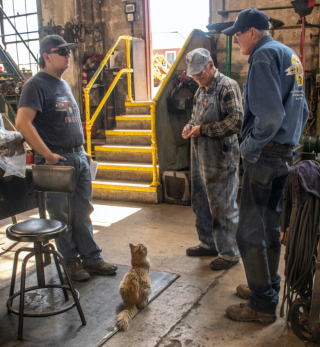 Illustration de l'article : Venu au monde dans un atelier de locomotives, ce chat est devenu la mascotte respectée et adorée des ouvriers