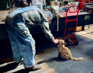 Illustration de l'article : Venu au monde dans un atelier de locomotives, ce chat est devenu la mascotte respectée et adorée des ouvriers
