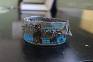 Illustration de l'article : Un chat observé dans la rue avec une boîte de thon autour du cou suscite l’inquiétude des habitants