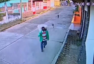 Illustration de l'article : Un vendeur de rue généreux vient à la rencontre de chiens dans le besoin (vidéo)