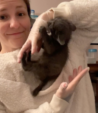 Illustration de l'article : Plein de vitalité, ce chaton sans famille découvre la joie de s’amuser avec un nouveau compagnon félin