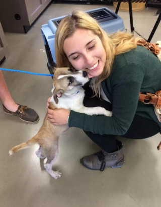 Illustration de l'article : Une chienne se rendait malade dès que sa propriétaire s’absentait jusqu’à ce qu’une petite boule de poils entre dans sa vie