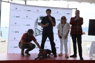 Illustration de l'article : Kodi remporte la Palm Dog Woopets 2024 après avoir crevé l’écran dans la comédie « Le Procès du chien »