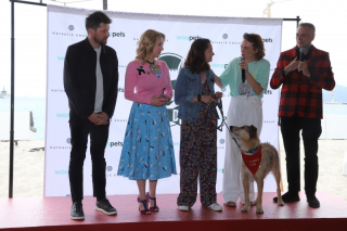 Illustration de l'article : Kodi remporte la Palm Dog Woopets 2024 après avoir crevé l’écran dans la comédie « Le Procès du chien »