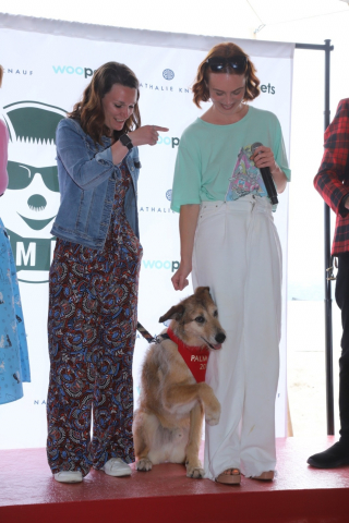 Illustration de l'article : Kodi remporte la Palm Dog Woopets 2024 après avoir crevé l’écran dans la comédie « Le Procès du chien »