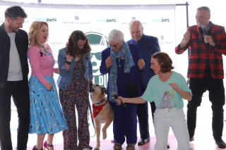 Illustration de l'article : Kodi remporte la Palm Dog Woopets 2024 après avoir crevé l’écran dans la comédie « Le Procès du chien »